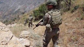2 PKK'lı terörist etkisiz hale getirildi