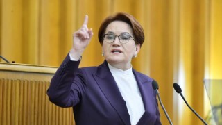 Akşener'i sokak köpeği ısırdı!