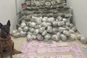 İçişleri Bakanı Soylu: İstanbul'a yük taşıyan araçta 107 kilo skunk ele geçirildi