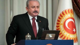 TBMM Başkanı Şentop: "Türkiye'nin benimsediği diplomasi anlayışı insanlığın ihtiyaç duyduğu yegane ve zaruri barış yoludur"