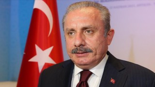 TBMM Başkanı Şentop'tan 'Malazgirt Zaferi' ve 'Büyük Taarruz' mesajı