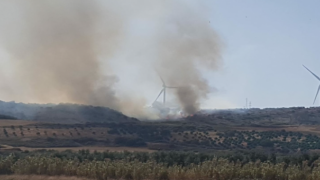 Balıkesir'de orman yangını