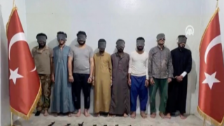 DEAŞ'ın Suriye'nin kuzeyindeki hücre yapılanmasına operasyon!
