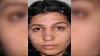 Kırmızı kategoride aranan PKK/KCK'lı terörist etkisiz hale getirildi