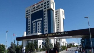 Bakanlıktan dondurma için yeni kriterler