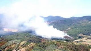 Son dakika: Dalaman'da orman yangını