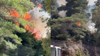Antalya'da orman yangını!