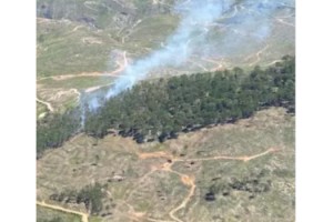 Muğla'da orman yangını