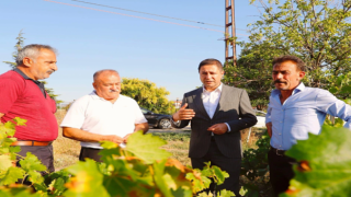 MHP'li Bulut, üniversiteyi göreve çağırdı